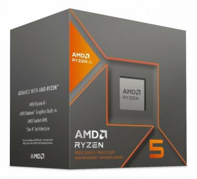 Micro AMD AM5 RYZEN 5 8600G C/V C/C